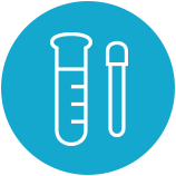 Beyond Benign Curriculum Elementary School